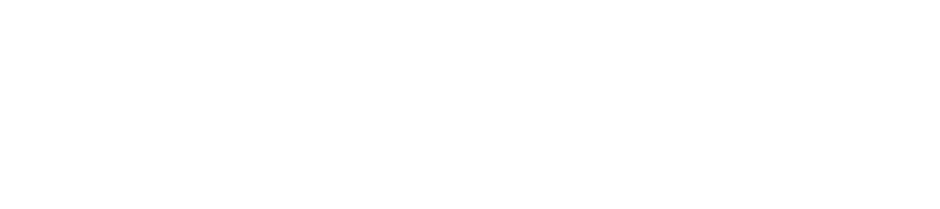 스톰을 비롯해, 애니메이션으로 친숙한 캐릭터들과 희귀한 조이드 아종을 둘러싼 게임만의 오리지널 스토리가 펼쳐진다! 조이드 와일드의 신비한 세계를 모험하자! 과연 어떤 조이드 아종을 만나게 될까?