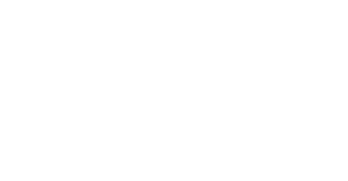 스톰을 비롯해, 애니메이션으로 친숙한 캐릭터들과 희귀한 조이드 아종을 둘러싼 게임만의 오리지널 스토리가 펼쳐진다! 조이드 와일드의 신비한 세계를 모험하자! 과연 어떤 조이드 아종을 만나게 될까?